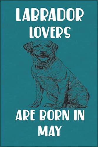 labrador gifts amazon