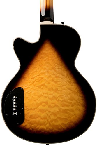 1 Washburn+Acoustic+Electric+AB45VSK+Acoustic+Electric
