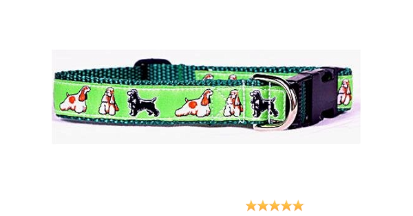 best collar for cocker spaniel