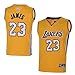 OuterStuff Youth Los Angeles Lakers #23 LeBron James Kids Gold Jersey (Youth M)