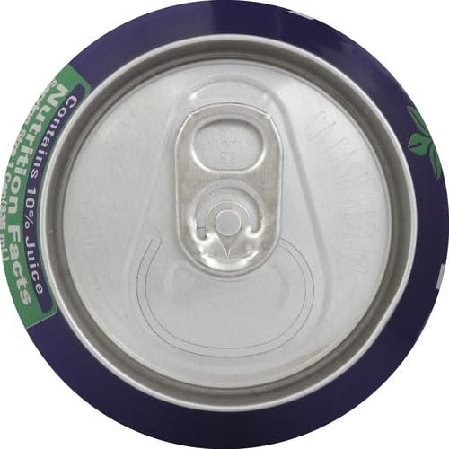 JUMEX STRAWBERRY NECTAR, 11.3 FL OZ CAN