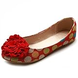 Ollio Women's Ballet Shoe Canvas Dot Pattern Flower Flat