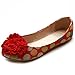 Ollio Women's Ballet Shoe Canvas Dot Pattern Flower Flat