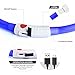 BSEEN Light Up Dog Collars - Reflective LED Dog Collar, Adjustable Puppy Collar, Rechargeable Dog Camping Gear Dog Collar Light for Small Medium Large Dogs (Medium, Blue3)
