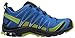 Salomon Mens XA Pro 3D GTX Cloisonné/Navy Blazer/Sulphur Spring Athletic Shoe