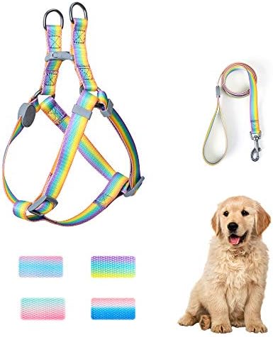 keezeg Dog Harness, Basic Halter Vest Harness, Adjustable Soft Strap Harness-S-GD PP