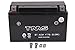 TMS AGM ATV Battery Yt7b-bs Yt7b-4 for Suzuki Drz400 E/s/sm 00-09 Yamaha Yfz450 04-09 450x Ds450 TTR 250 225 Zuma Yw 125 Triumph Daytona 675 2006-2011