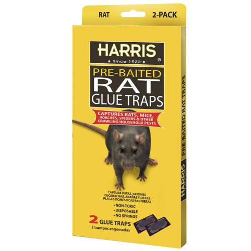 Harris Pre-Baited Rat Glue Traps, Non-Toxic and Fully Disposable (2-Pack)