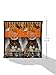 Prime Taste Treats Duck Jerky Treat For Cats, 35G