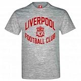 Liverpool FC Crest Leisure T-Shirt