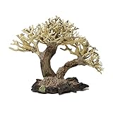 Bonsai Driftwood Aquarium Tree AWC Random Pick