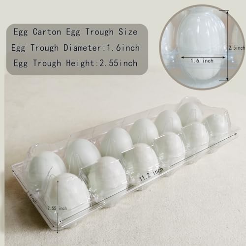 LSGENGXCY 100 piece Disposable Transparent Egg Cartons, 12 Plastic Egg Storage Containers, 2 Rows And 6 Columns of Empty Egg Cartons.2 * 6 (ZF-DH-2 * 6-100-1)