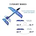 YKL WORLD 2Pcs 13.5 Inches Airplane Manual Throwing Fun Model Foam Plane Glider Outdoor Chanllenging Flying Toys Birthday Gifts for Kids, Blue & Red
