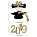Hestya 48 Pieces Graduation Cap Cupcake Toppers Diploma Cake Table Centerpieces Sticks for Graduation Theme Party Favor Accessories (2020 Style A)