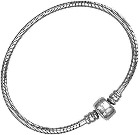 Timeline Treasures European Charm Bracelet For Women and Girls Bead Charms, Stainless Steel Snake Chain, Barrel Clasp