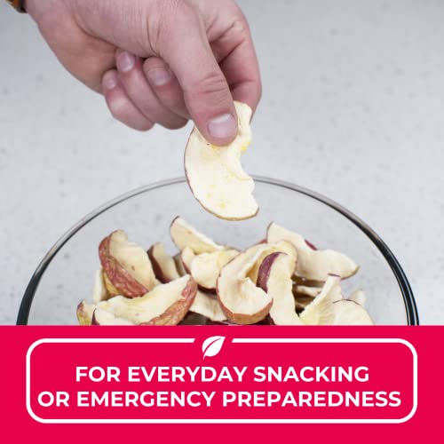 Nutristore Freeze Dried Fuji Apples 10 Can Fruit Perfect Healthy