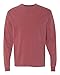 Comfort Colors Ringspun Garment-Dyed Long-Sleeve T-Shirt, Large, BRICK