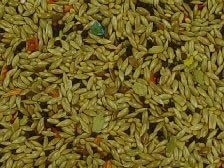 Volkman Seed Avian Science Super Canary Seed 20lb