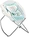 Fisher-Price Deluxe Rock 'n Play Sleeper, Moonlight Meadow
