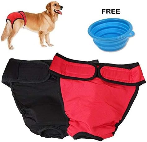 female dog pants
