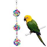 Wandergo Colorful Bird Toys with Bells for Parrot by