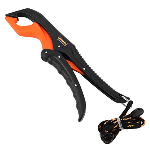 KastKing Fish Scale with Floating Lip Gripper, Water Resistant, Dual