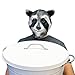 Off the Wall Toys Cool Raccoon Halloween Face Mask
