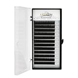 LASHVIEW Silk 0.15 Thickness Eyelash Extensions C curl 10mm Professional Salon Use Natural Semi Permanent EyeLashes Pure Korean Eyelashes Individual Building False Eyelashes Extensions