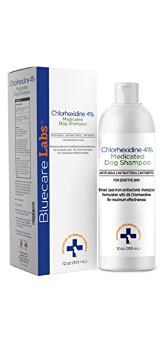 Medicated dog shampoo for skin allergies - Chlorhexidine shampoo for dogs with itchy skin+sensitive irritated skin anti-itch antibacterial antifungal treats yeast infections+mange+mites deodorizes