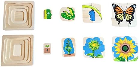 All Wood Butterfly and Sunflower Life Cycle Educational Puzzle Set