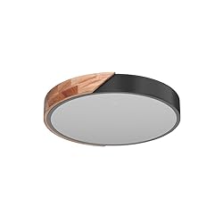 EDISLIVE Ceiling Light Dimmable 19 inch Modern