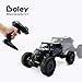 Boley 2099 - Radio Remote Control Monster Truck, 4-Wheel Drive, All-Terrain Climber - Action-Packed RC Car Toy for Boys and Girls - Durable, Easy to Control - Perfect for Gifts and Party Favors!