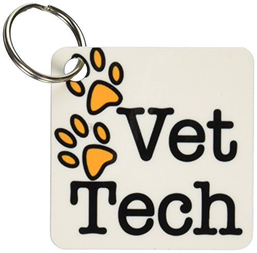 3dRose Vet Tech, Orange - Key Chains, 2.25 x 4.5 inches, set of 2 (kc_161090_1)