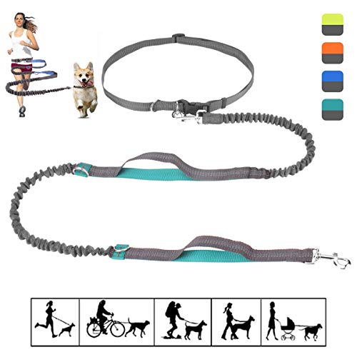Image showcasing Best Dog Leash for Running in 2020: Complete Reviews and Comparisons ...
