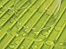 Joseph Joseph Flume Folding Draining Mat, Green, Large