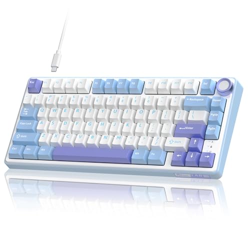 RK ROYAL KLUDGE R75 Mechanische Tastatur mit Lautstärkeregler, 75% TKL Custom Gaming Tastaturdichtung, Halterung, RGB-Hintergrundbeleuchtung mit Softw