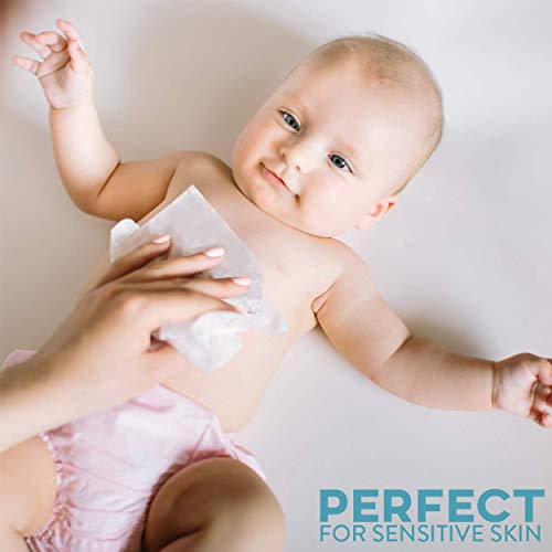 Care Touch Disposable Dry Wipes 200 Count (4 Packs of 50) Baby