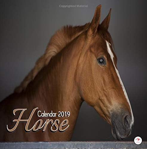 Calendar 2019 Horse: Horse 2019 Wall Calendar Mini 8.5 x 8.5 12 Month Colorful Horse Images Paperback – 7 Sep 2018
