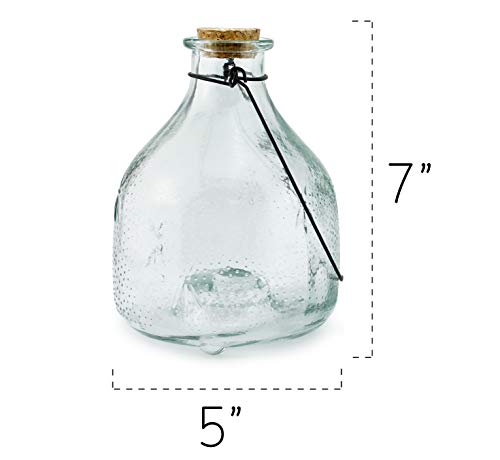 Darware Glass Wasp Traps (2-Pack); Wasp Catchers for Garden and Home Use - Thumbnail 2