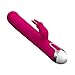 Personal Vibrating Magic Wands Dual Motor Powerful Massager for Women, Rose