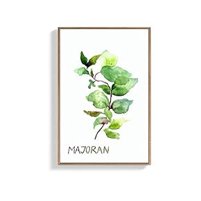 Framed Canvas Wall Art for Living Room, Bedroom Origanum Majorana Canvas Prints for Home Decoration Ready to Hang - 16x24 inches