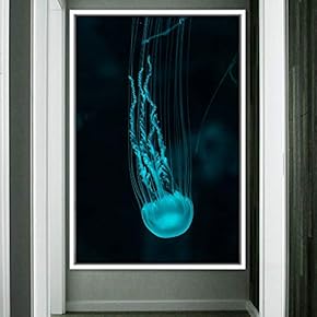 signwin Framed Canvas Wall Art Jellyfish Bedroom Colorful...