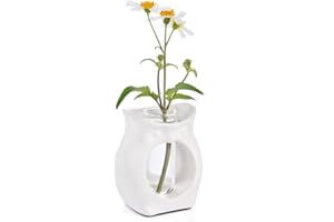 ORJG ORGJ Owl Propagation Vase for Plants - Handcrafted Ceramic with Removable Glass Tube, 2-in-1 Hydroponic Planter & Aroma Diffuser, Plant Terrarium Decor Gifts for Plant Lovers Office Desk