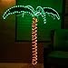 Green LongLife 4.5-Feet Decorative Lighted Palm Tree - Holographic Rope Light for Indoor and Outdoor Use