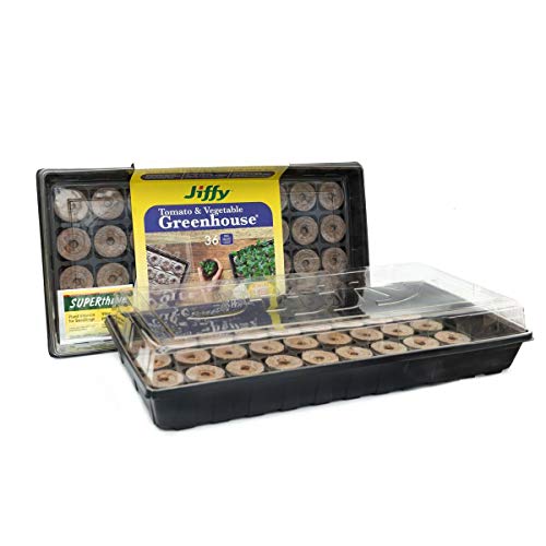 Ferry Morse Jiffy Seed Starting Tomato Greenhouse with 36 50mm Peat