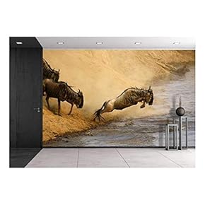 Wildebeest Jumping Crossing The Mara River - Removable Wall Mural | Self-Adhesive Large Wallpaper - 66x96 inches