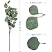 CEWOR Artificial Silver Dollar Eucalyptus Stems 6pcs Artificial Eucalyptus Leaves Fake Plants Artificial Leaves for Home Decoration