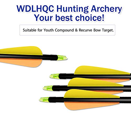 WDLHQC Fiberglass Arrows Archery 31 Inch Target Shooting Practice Arrows Recurve Bows Suitable for Youth Compound & Recurve Bow Target (12Pcs/Pack)