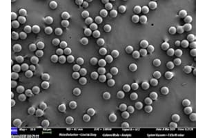 ALPHA NANOTECH INC. Colloidal Polystyrene Beads (CV < 3%, 10-50 mg/ml, 100 nm - 100 um) (100 um, 10 mg/ml, 10 ml)