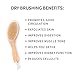 Exfoliating Dry Or Wet Body Wash Brush Set for Dry Brushing, Improving Circulation and Reducing Cellulite to Rejuvenate Skin - 4 Piece Natural Boar Bristle Set